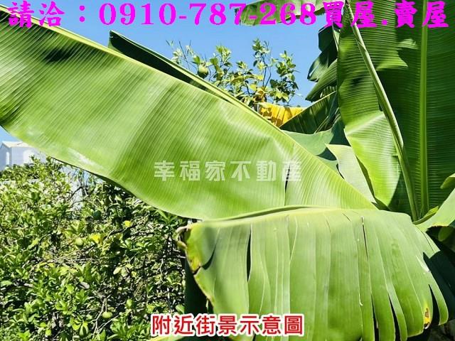 台南下營建地-14