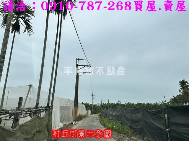 旗山農地-11