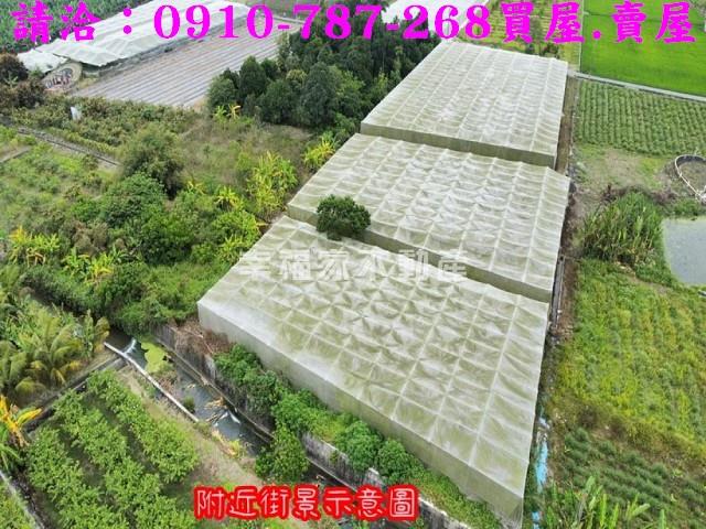 旗山農地-2