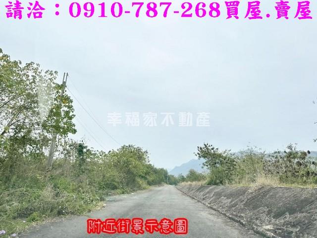 旗山農地-4