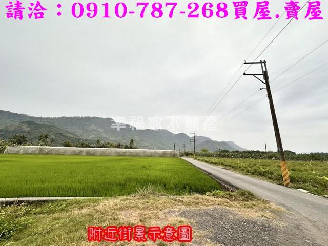 旗山農地-7