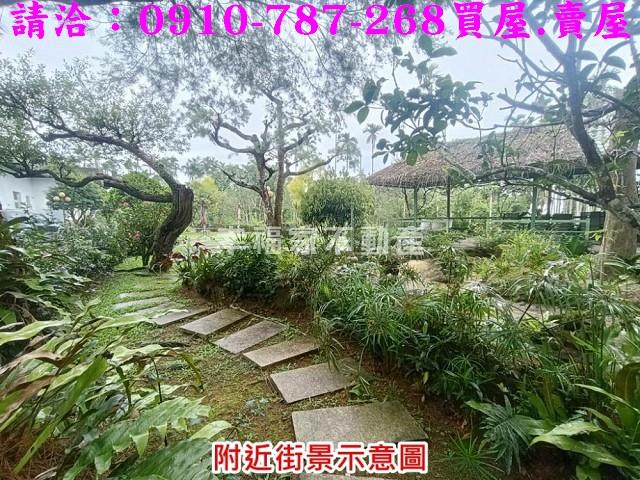 雲林古坑農地-5