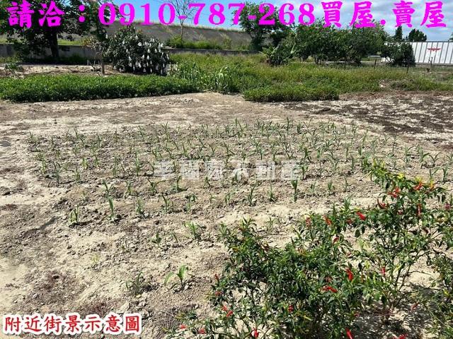 鹽水建地-6