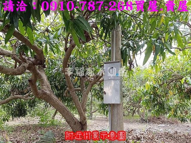 玉井農地-6