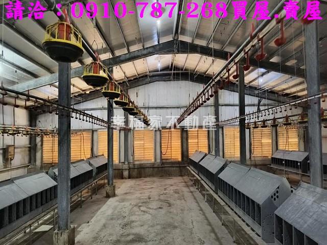 雲林農地-1