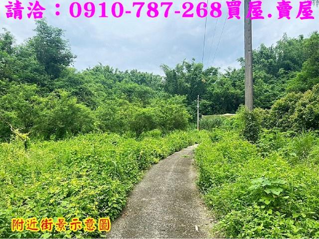 台南大內農地-13