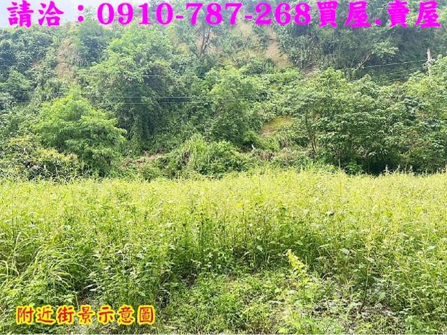 台南大內農地-14