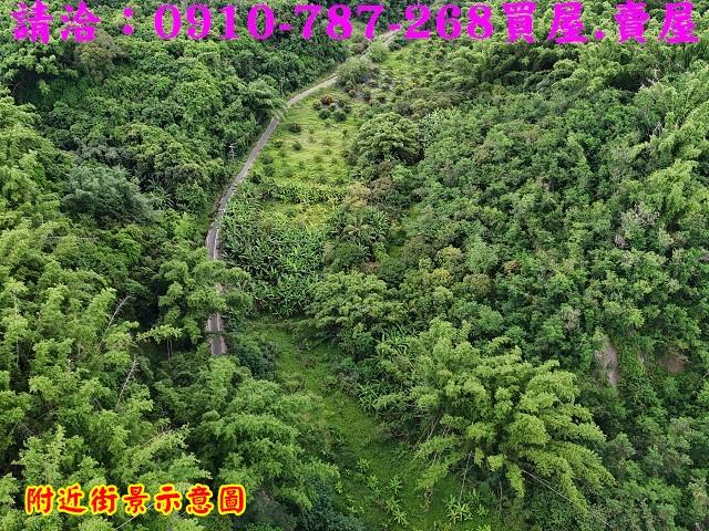 台南大內農地-7