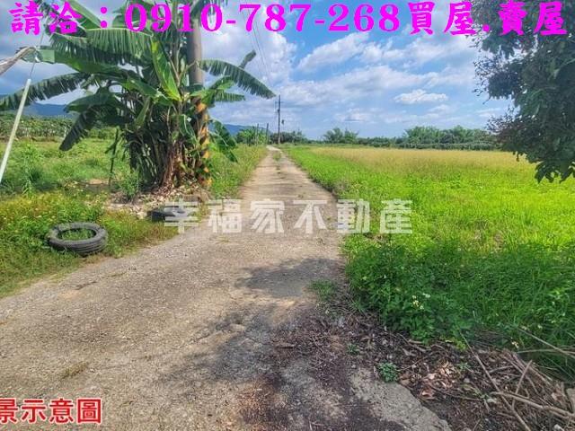 台南南化農地-9
