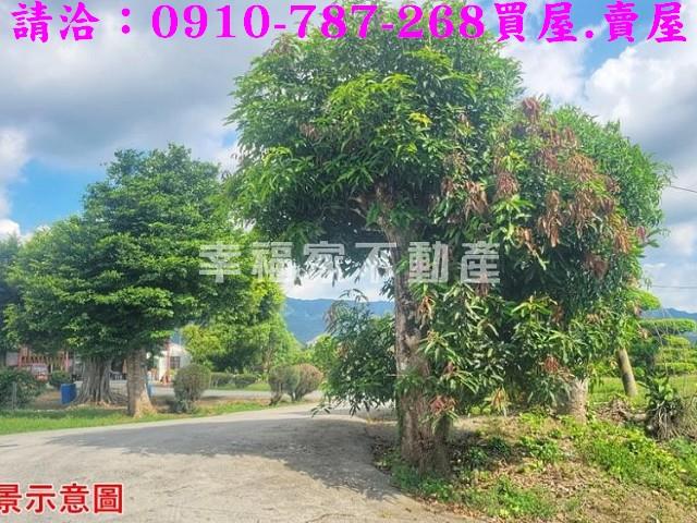 台南南化農地-10