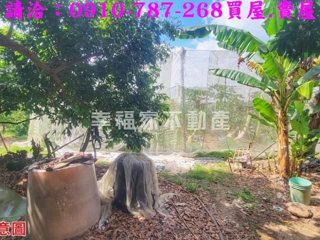 台南南化農地-11