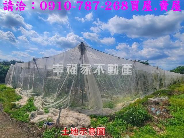 台南南化農地-2