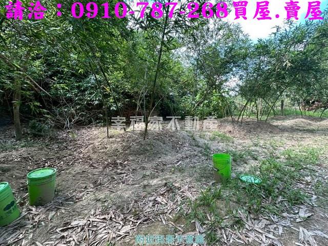 關廟農地-9
