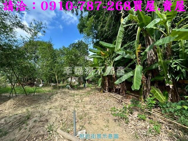 關廟農地-10
