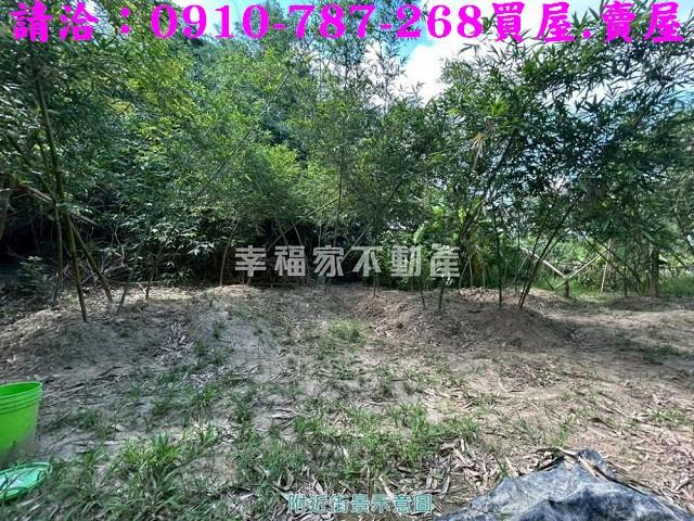 關廟農地-12