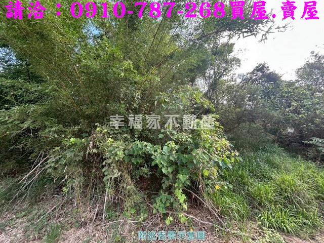 關廟農地-13