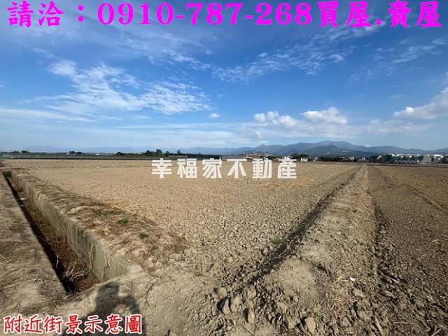 台南農地-2