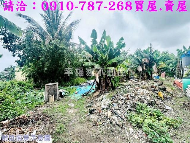 安南農地-3