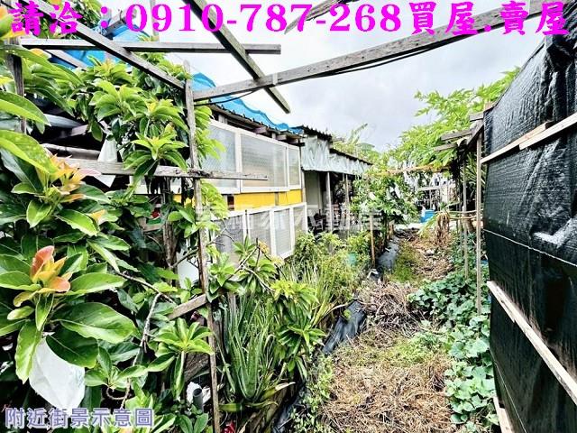 安南農地-4