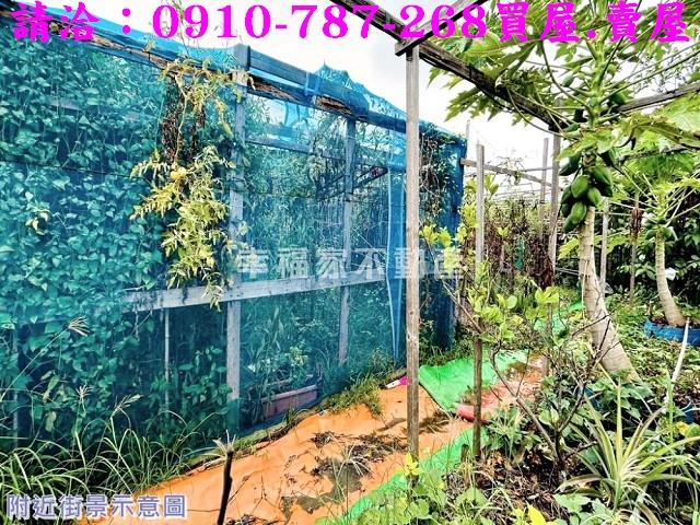 安南農地-7