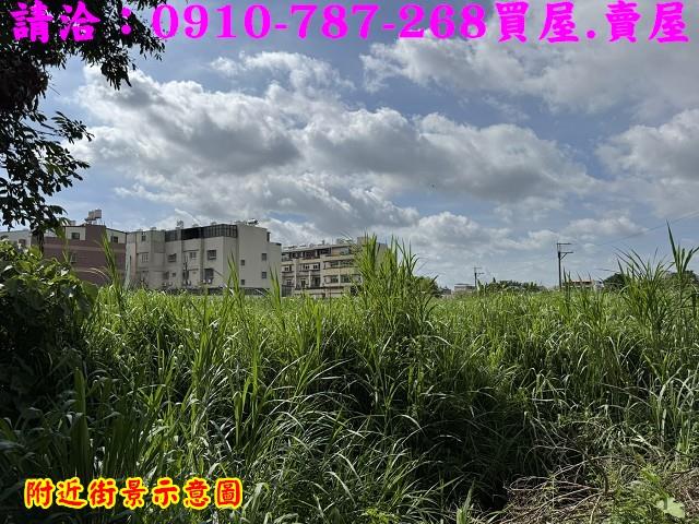 新化農地-11