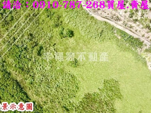 左鎮農地-9
