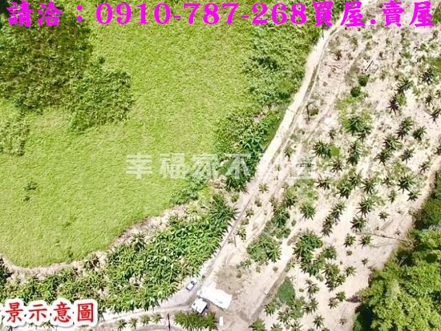 左鎮農地-11