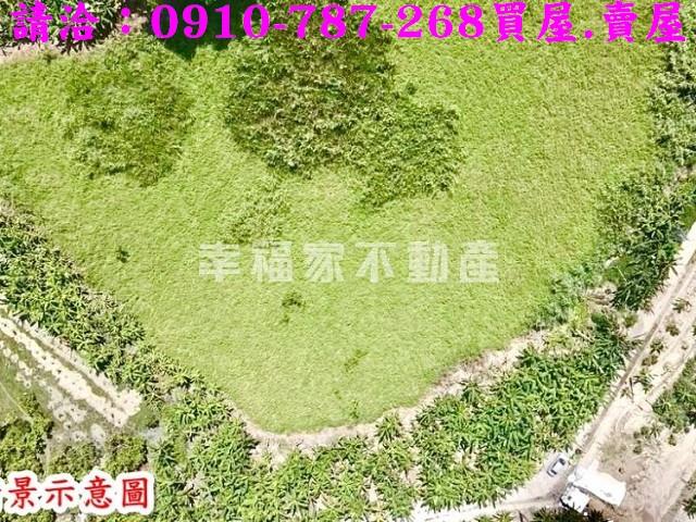 左鎮農地-4