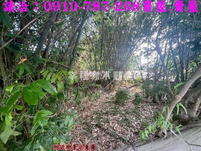 東山農地-8
