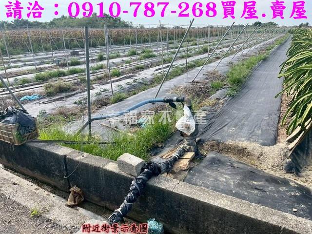 東山農地-5