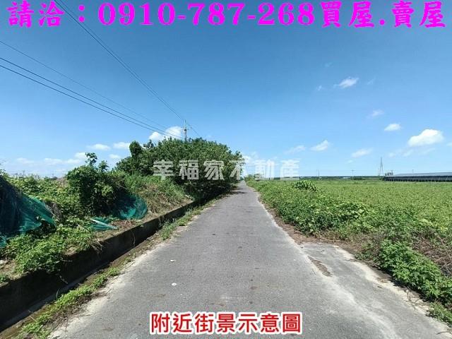 柳營農地-9