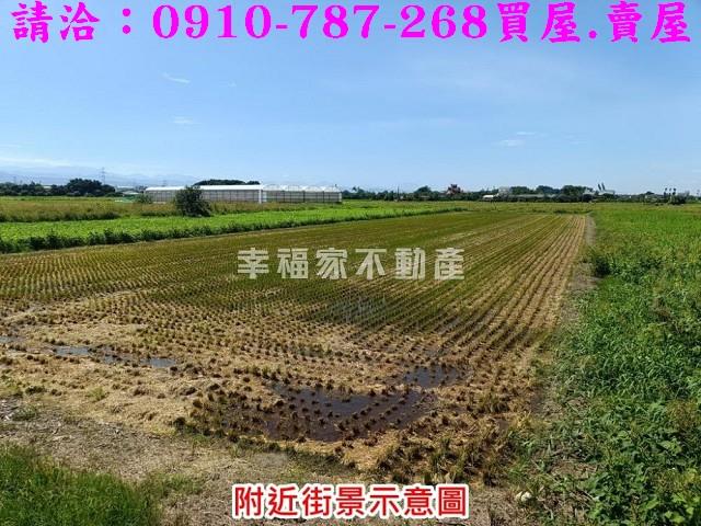 柳營農地-5