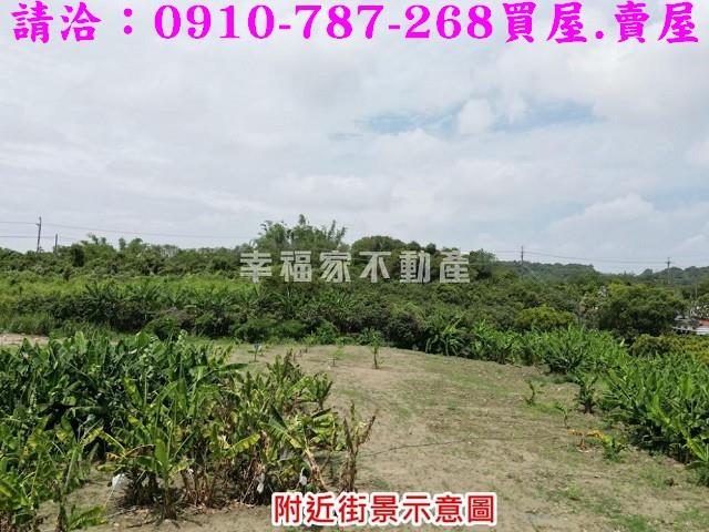 新化農地-14
