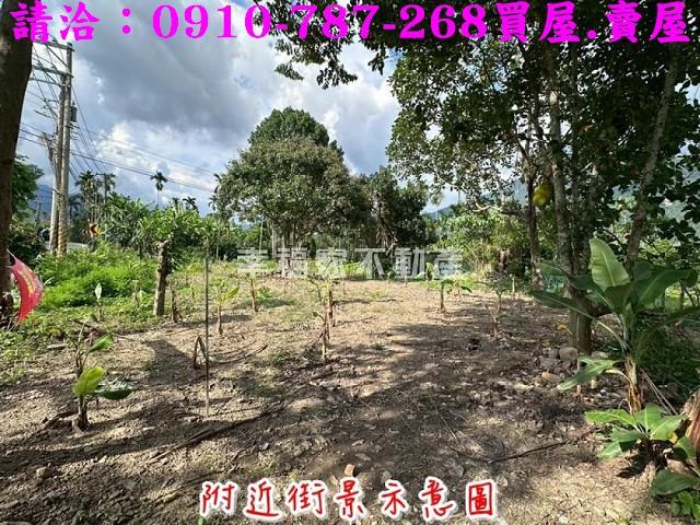 高雄六龜農地-9