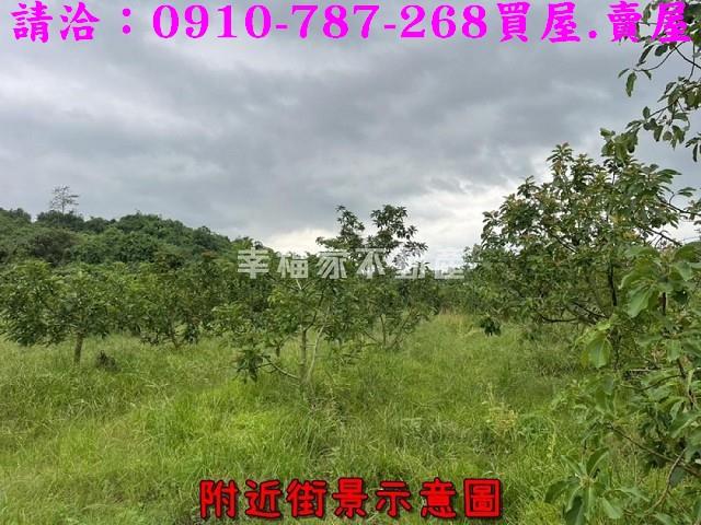 台南大內農地-9
