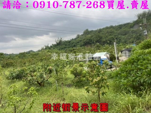 台南大內農地-11