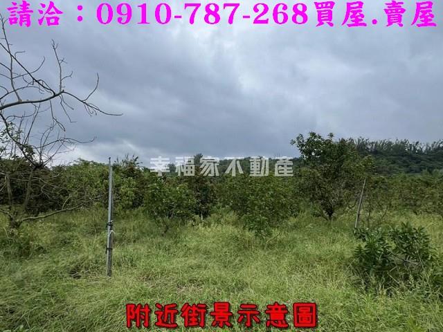 台南大內農地-12