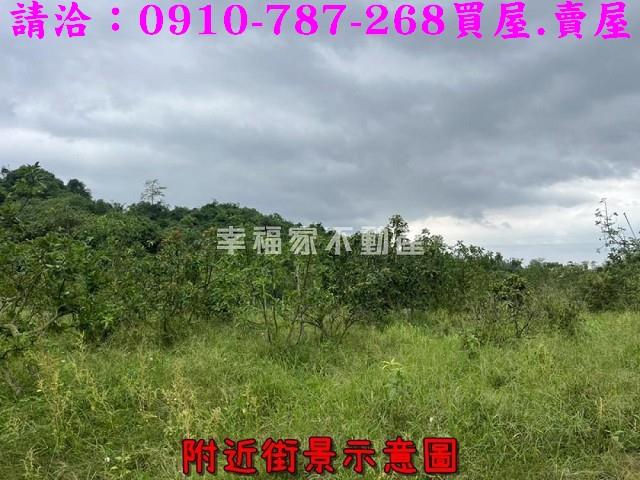 台南大內農地-3
