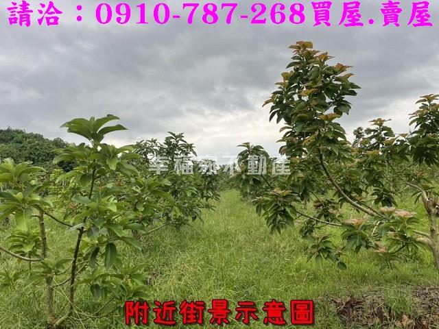 台南大內農地-4