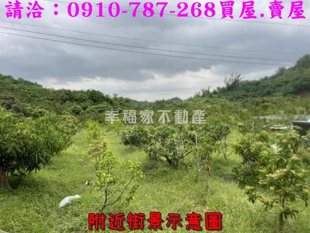 台南大內農地-5