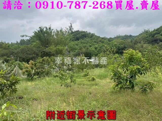 台南大內農地-6