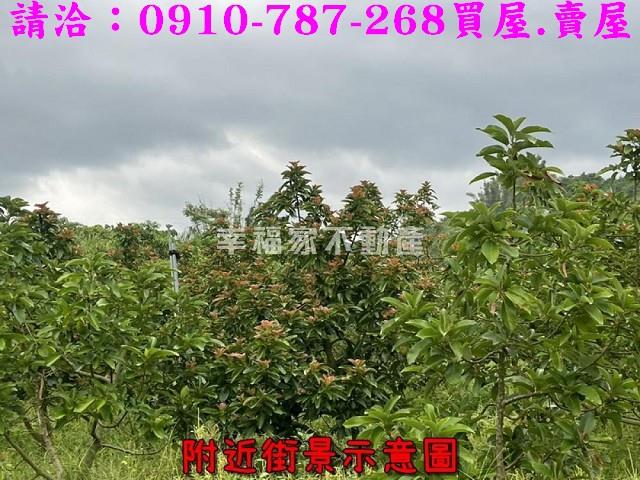 台南大內農地-7