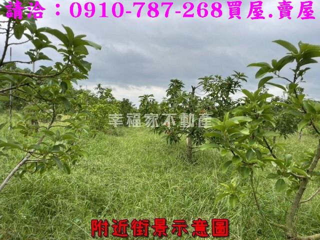 台南大內農地-8