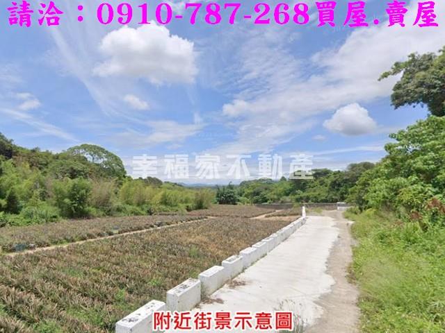 台南關廟農地-3
