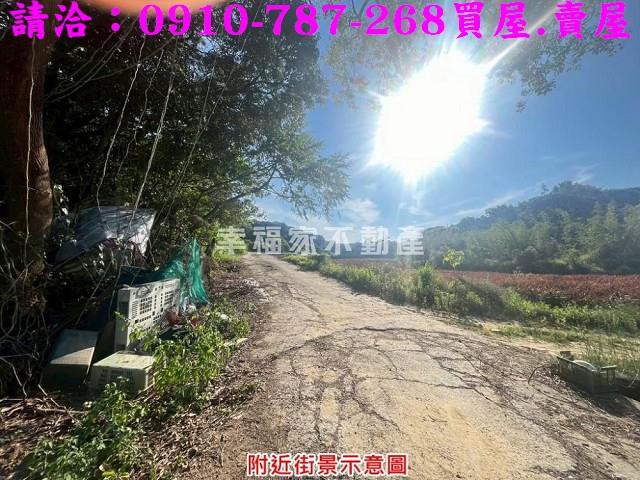 台南關廟農地-8