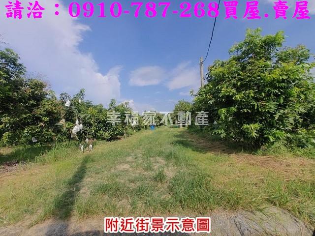 台南官田農地-9