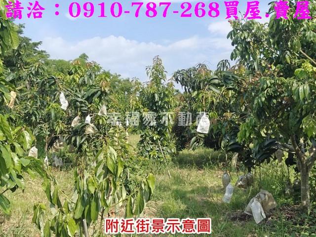 台南官田農地-2