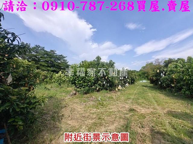 台南官田農地-5
