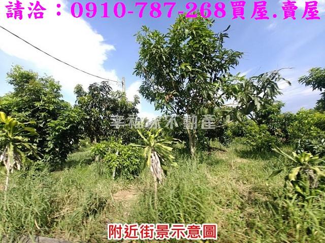 台南官田農地-6