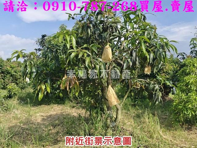 台南官田農地-7